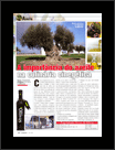 Calibre 12 Magazine